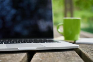 軟件定制開發有什么風險